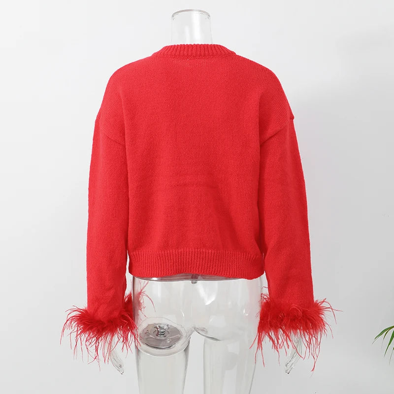 Chunky Cardigan With Decorative Button and Feathers