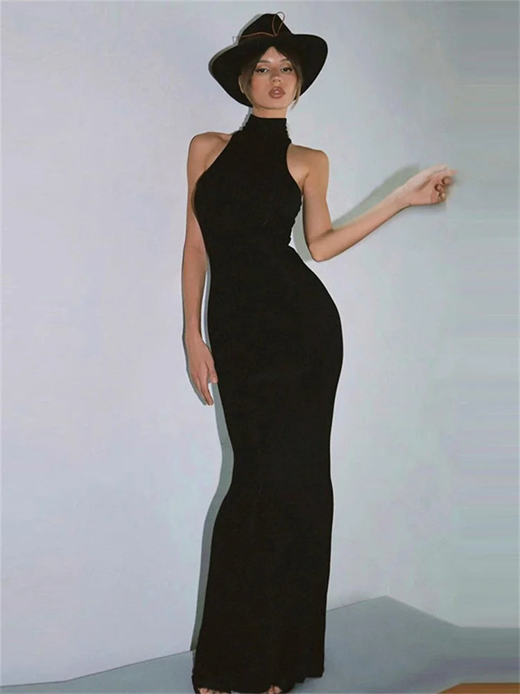 Turtleneck Slim Maxi Dress